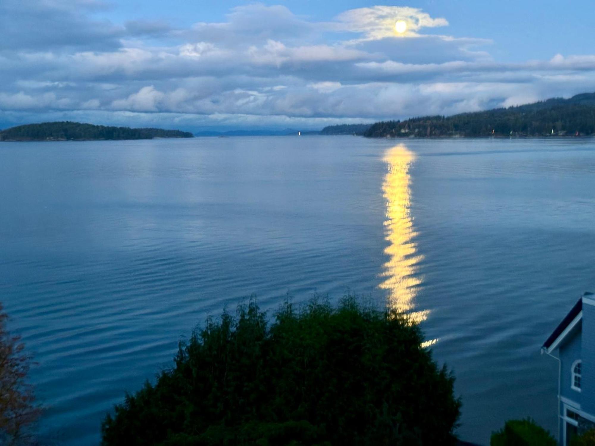 Homestay Hideaway Sea To Sky Loft Sechelt